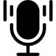 Voice Search Optimization