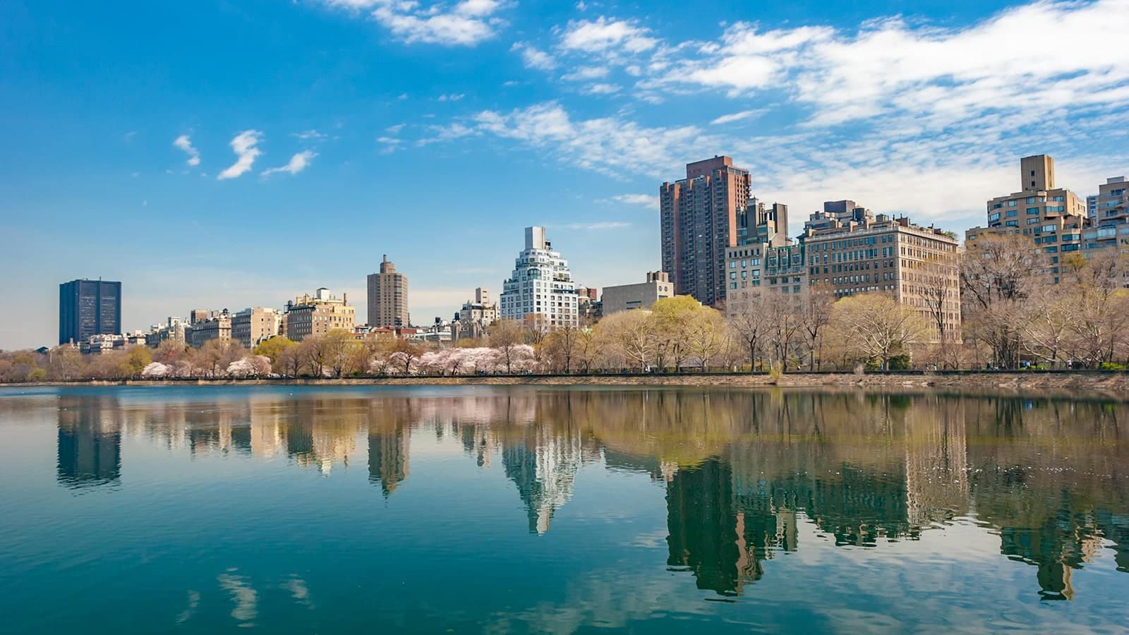 SEO (Search Engine Optimization) in New Jersey