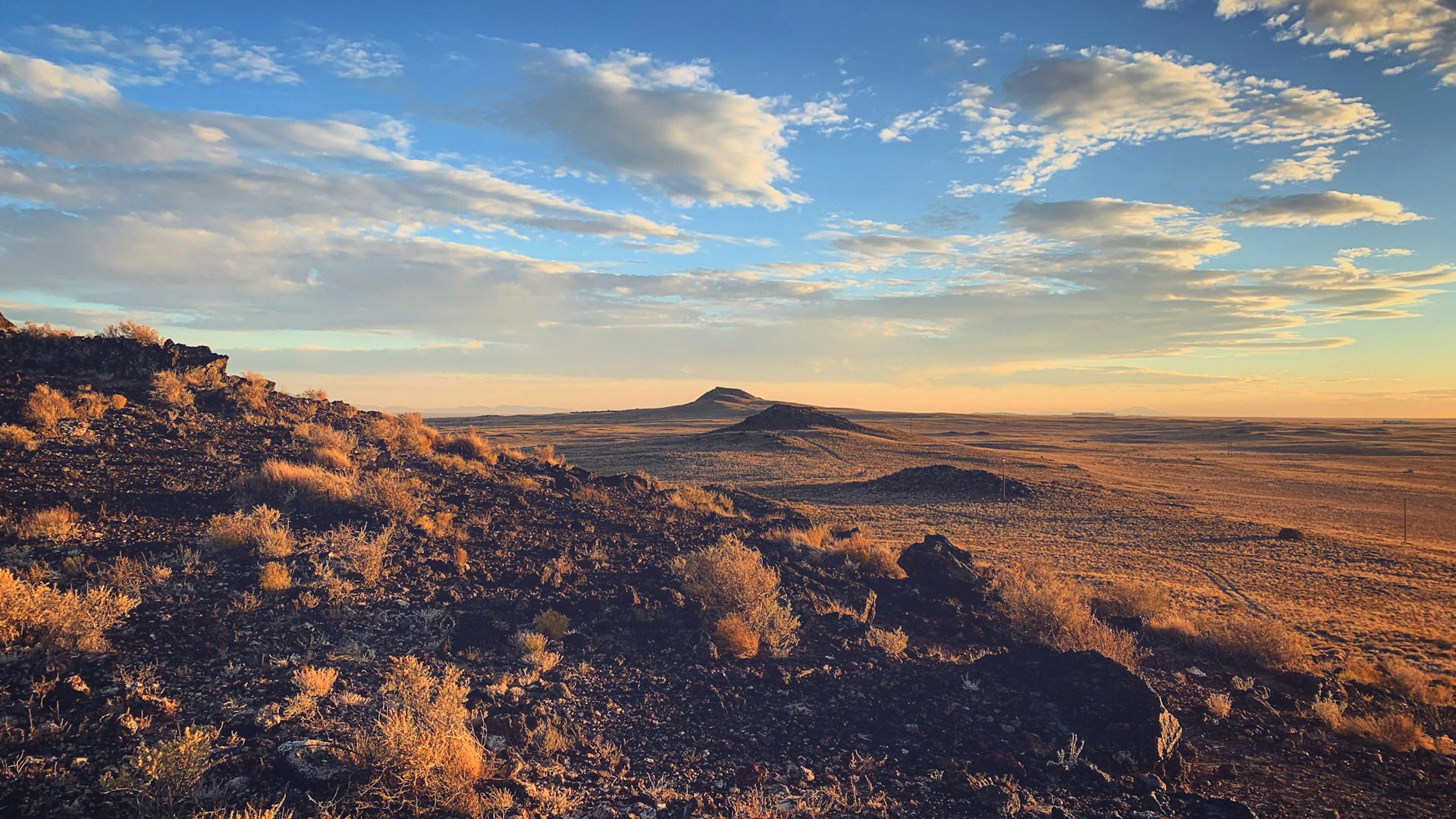 SEO (Search Engine Optimization) in New Mexico