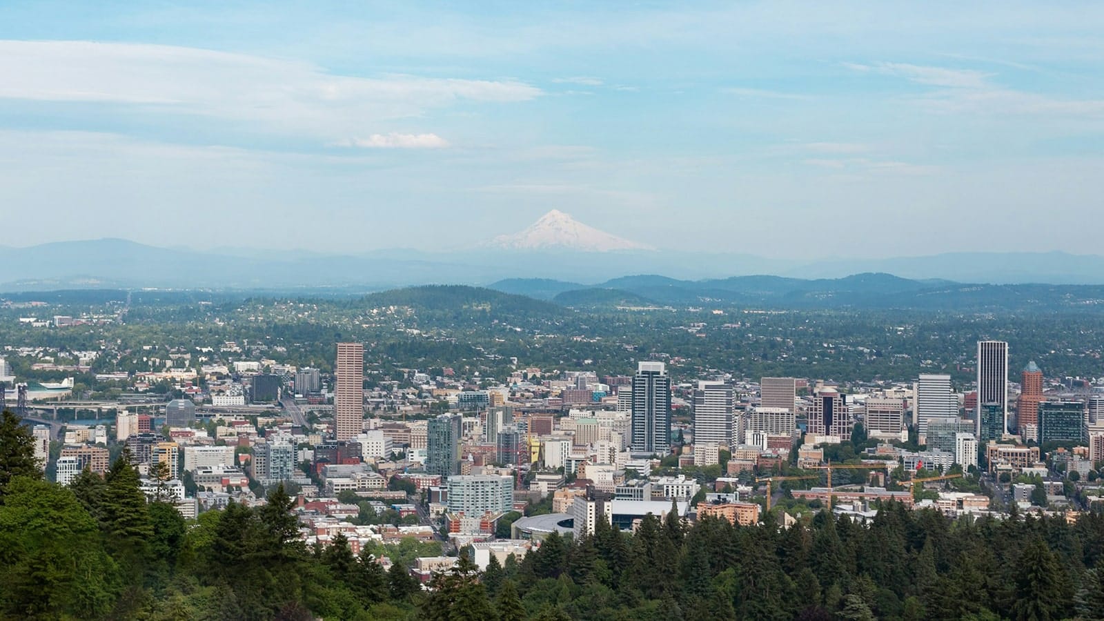 SEO (Search Engine Optimization) in Portland