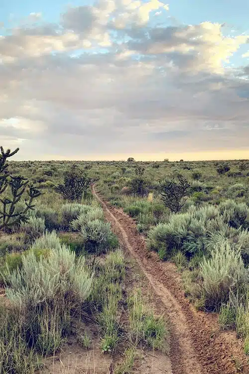 Website Design in Albuquerque